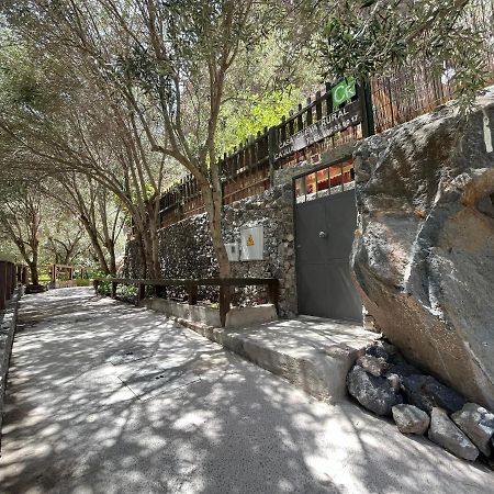Casa Rural Guayadeque Ca'Juani Ingenio Ngoại thất bức ảnh