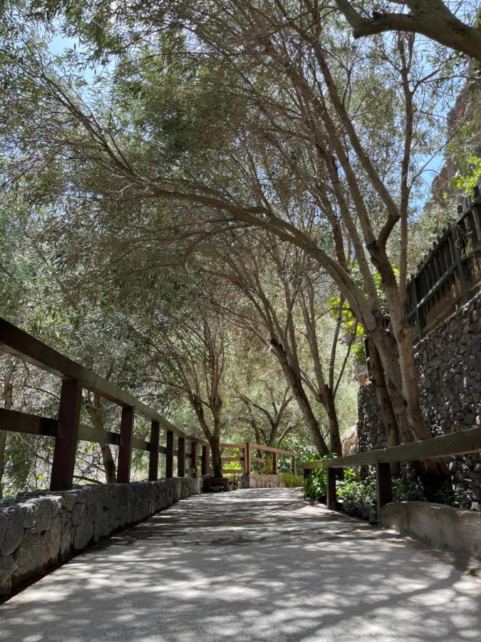 Casa Rural Guayadeque Ca'Juani Ingenio Ngoại thất bức ảnh